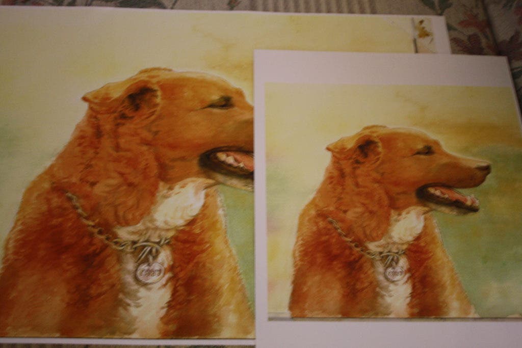 News small post card thumbnail