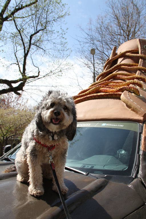 News small post card thumbnail