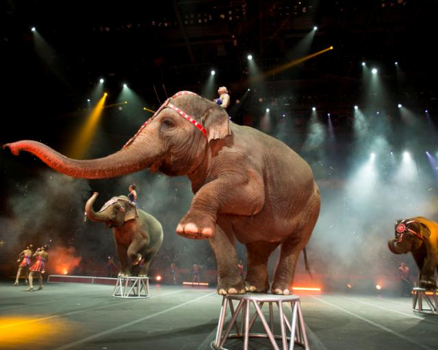 Contest: Win Family 4-Pack to Ringling Bros. and Barnum & Bailey Circus ...
