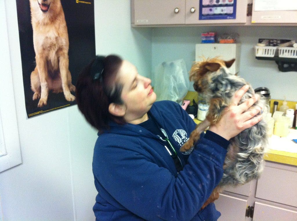 News small post card thumbnail