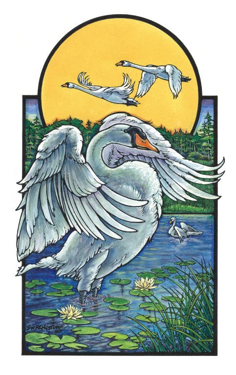 News small post card thumbnail