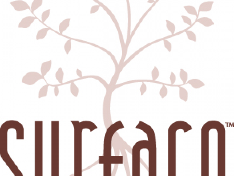 Bii Hair Salon West Dundee Presents New Surface Hair Products