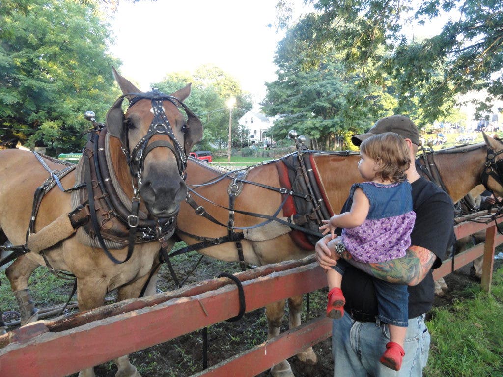 [VIDEO] Scenes From The 111th Annual Hamburg Fair | The Lymes, CT Patch