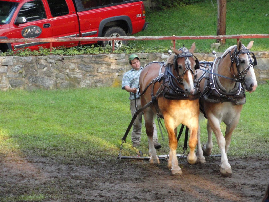 [VIDEO] Scenes From The 111th Annual Hamburg Fair | The Lymes, CT Patch