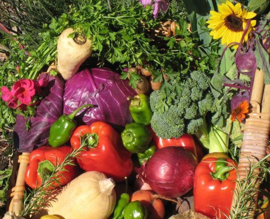 Get Dirty, Throw an Event and Eat Fresh at the Gilroy Demonstration Garden