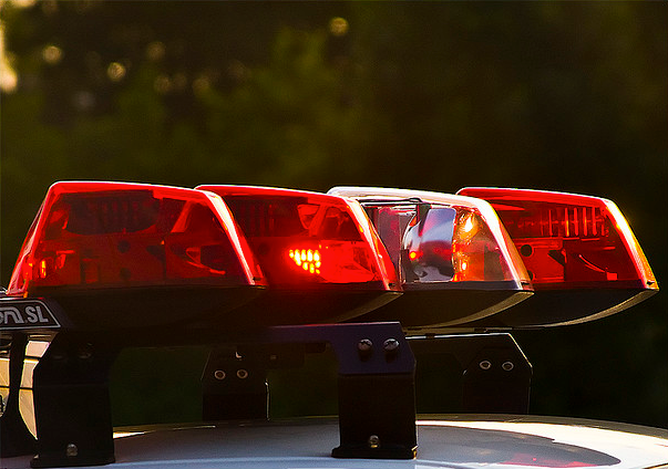 Sheriff's Arrests: Pot Growing, Hit-And-Run