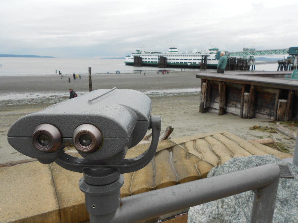 Edmonds Tide Low, Low, Low: Pictures of Tuesday's -3.75 Tide in Edmonds | Edmonds ...