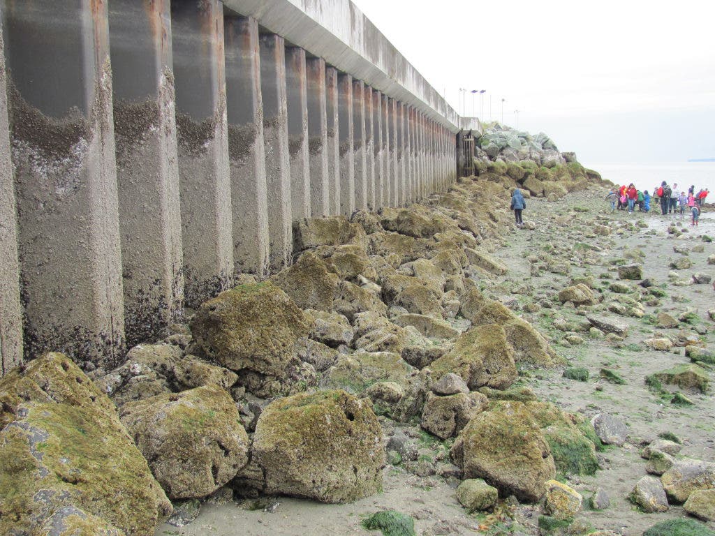 Edmonds Tide Low, Low, Low: Pictures of Tuesday's -3.75 Tide in Edmonds | Edmonds ...