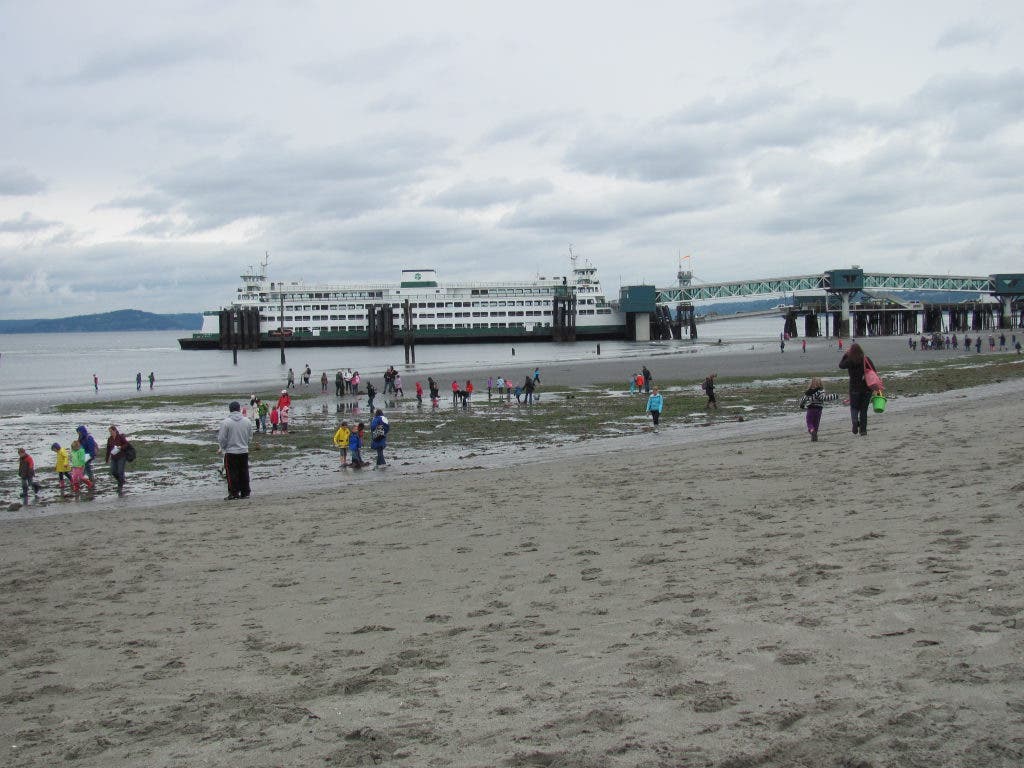 Low, Low, Low Pictures of Tuesday's 3.75 Tide in Edmonds Edmonds