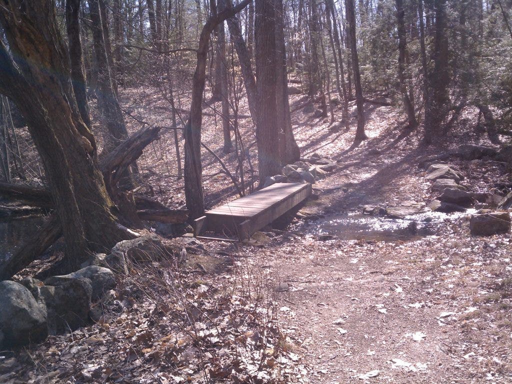 Hitting the Trails: Wayland's Hamlen Woods | Wayland, MA Patch