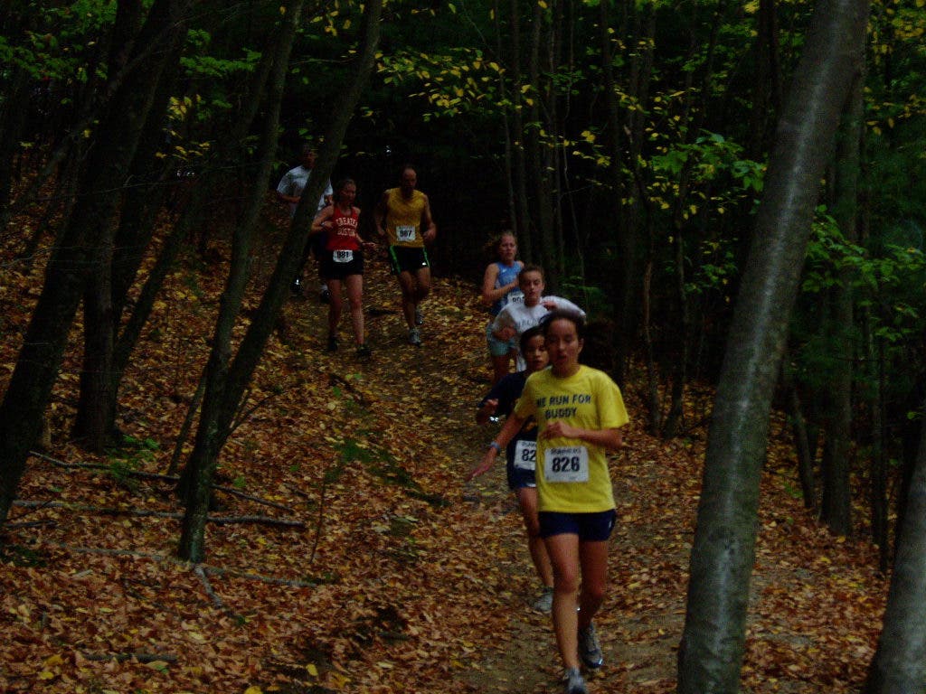 Wayland XC Festival Weston, MA Patch