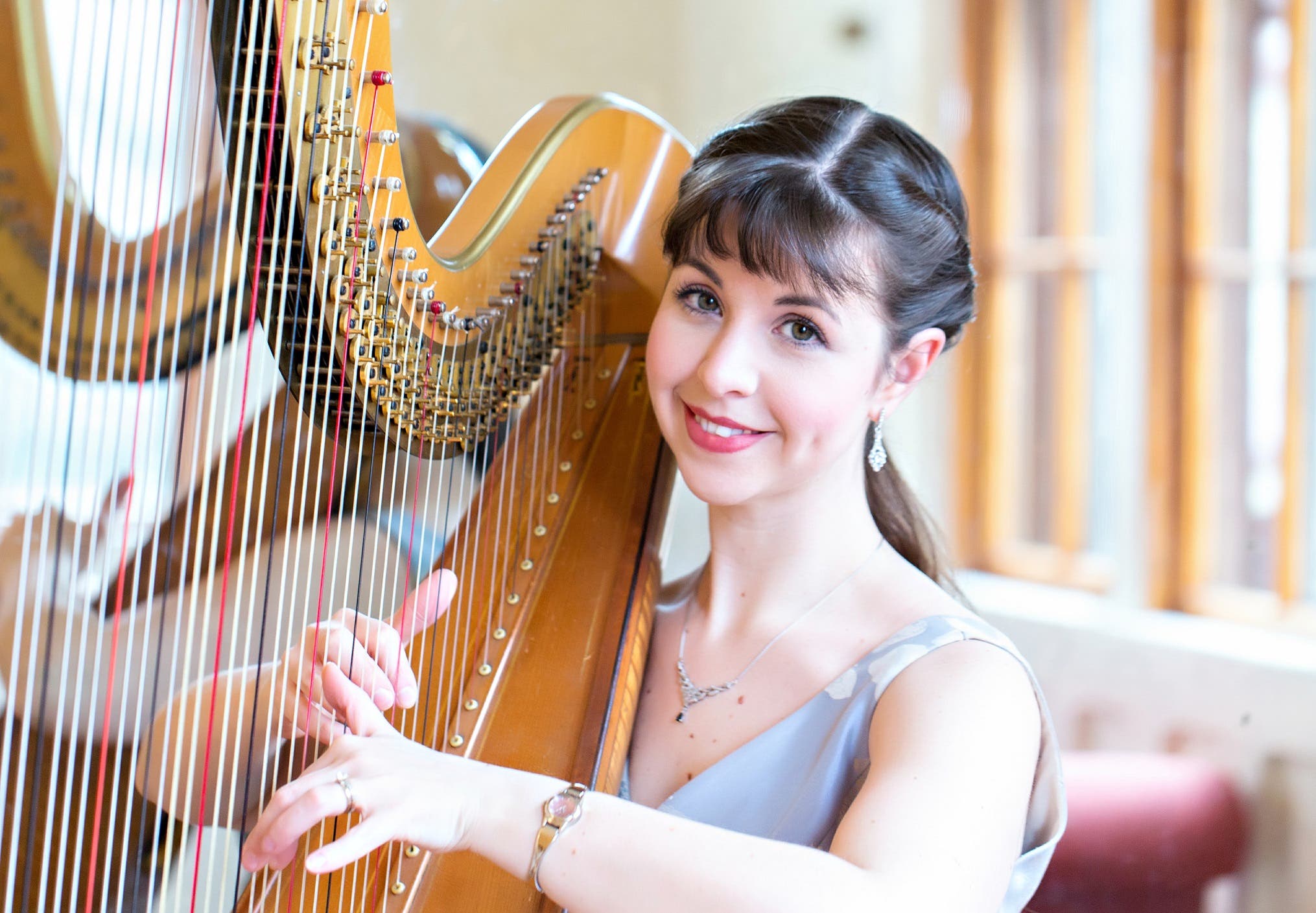 Falmouth Chamber Players Orchestra Concerts Nov. 7 and 8 Falmouth, MA