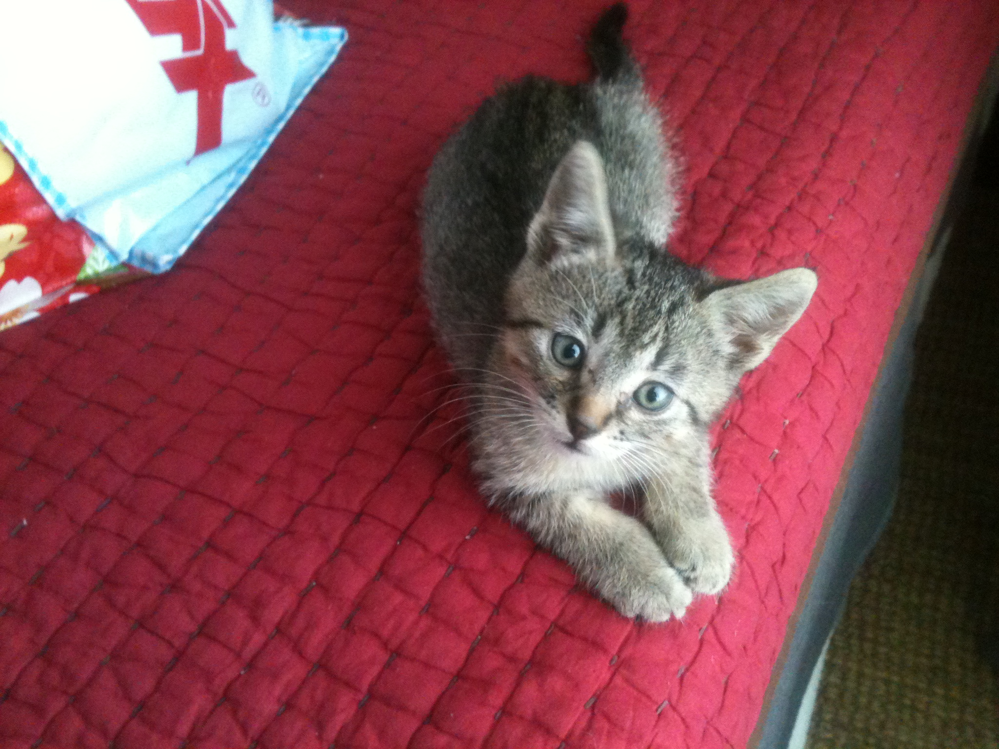 News small post card thumbnail