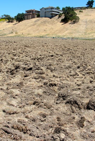 Field Of Dug Up Dirt One Walnut Creek District Puts Its Measure C Dollars To Work Walnut 