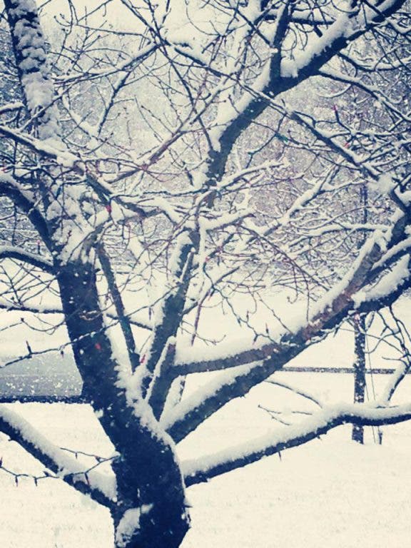 UPDATE: Light Snow Expected after Midnight New Year's Eve | Sewickley ...