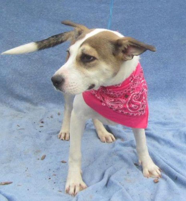 Pet of the Day: Marley