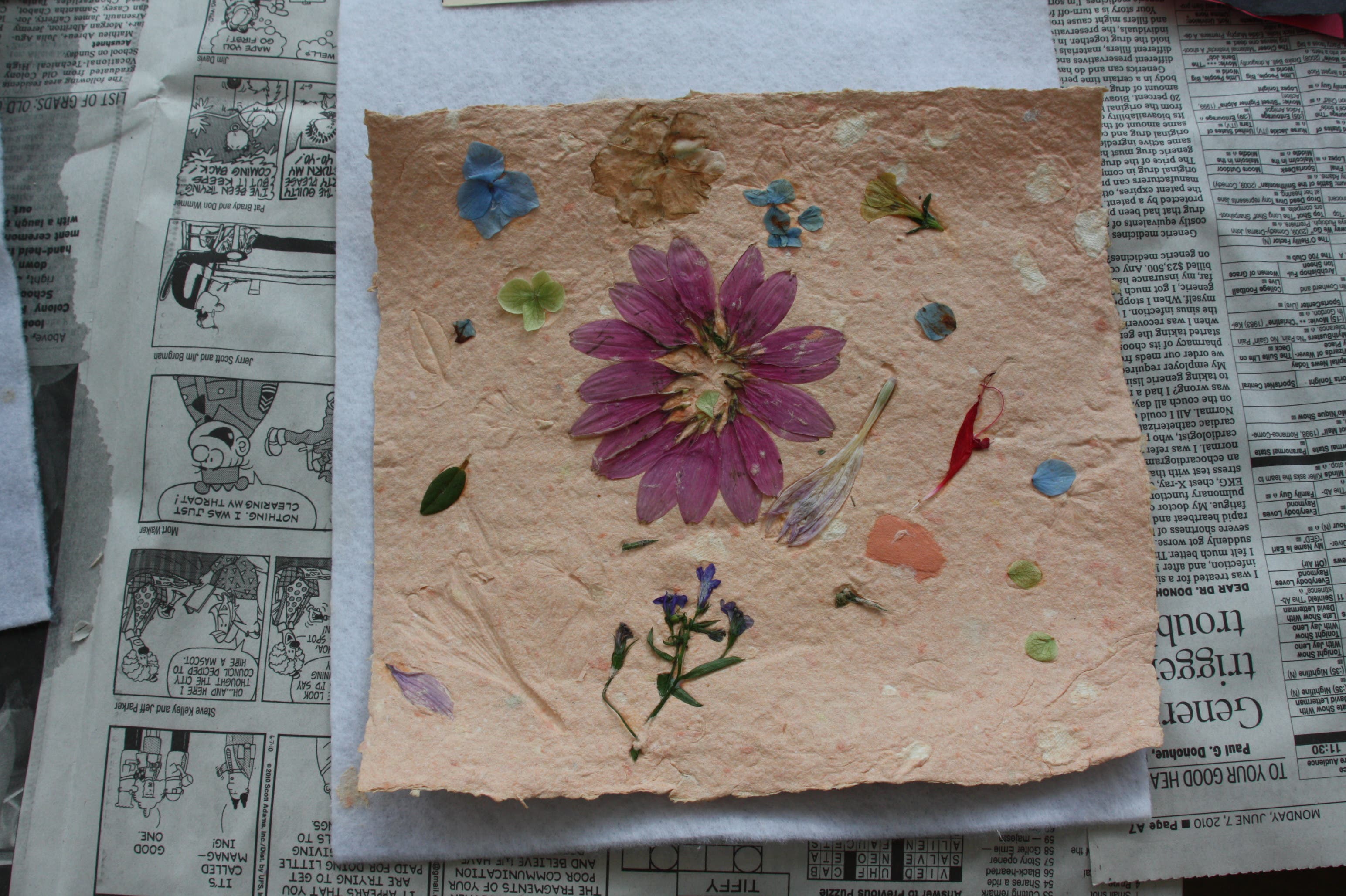 News small post card thumbnail