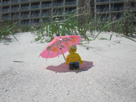 LEGO Sandcastles; Shakespeare; Senior Advising
