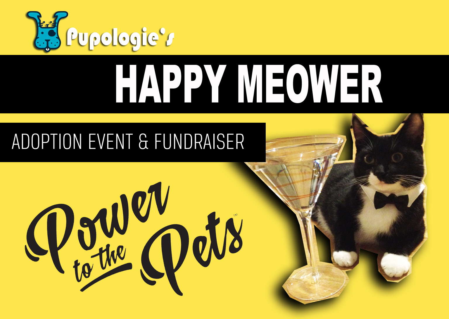 socal siamese rescue