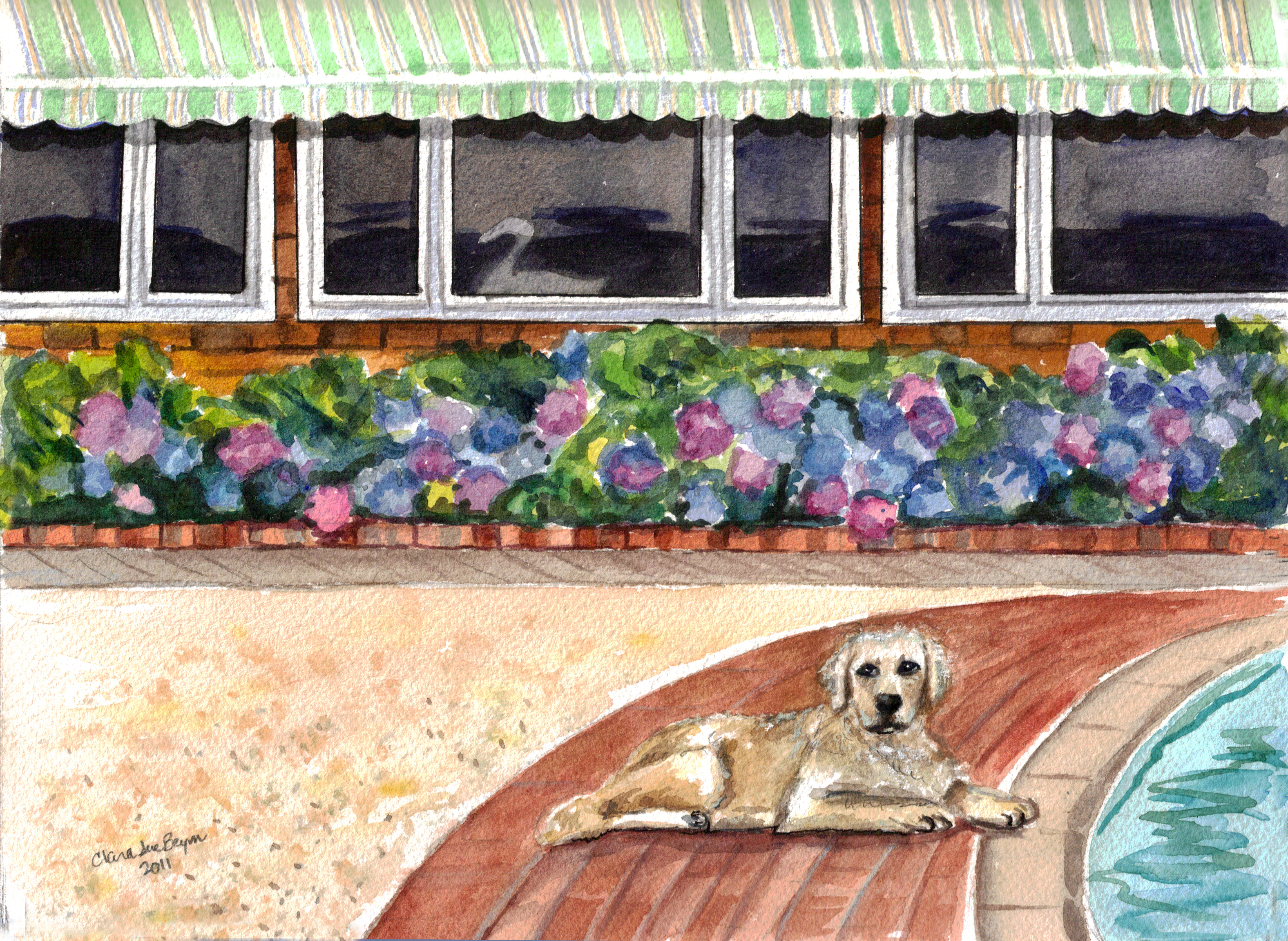News small post card thumbnail