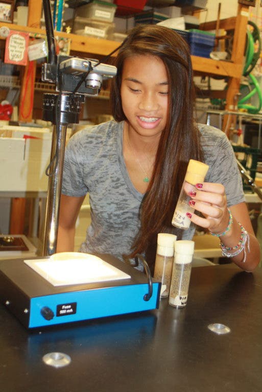 Lynbrook Seniors Devote Summer to Intel Science Research