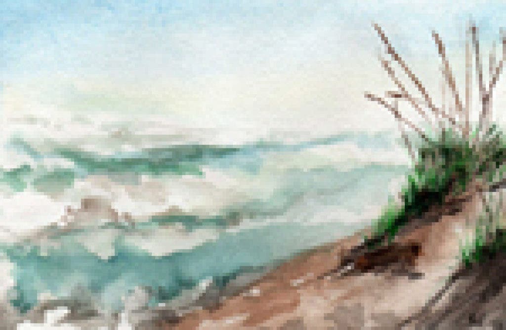 News small post card thumbnail