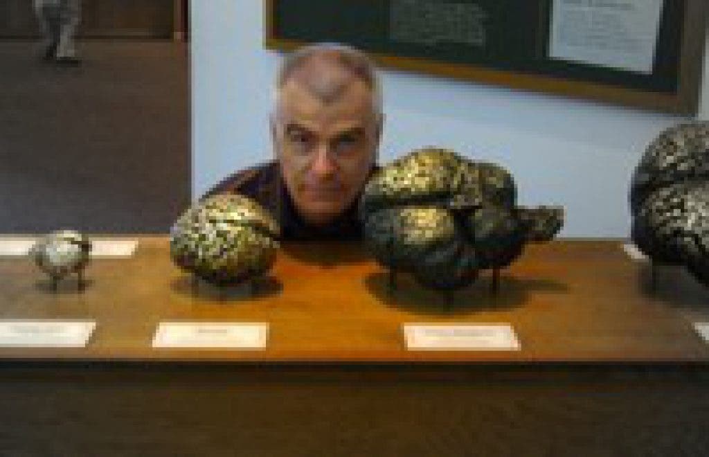 Millburn scientist wins 'Brain Prize' | Millburn, NJ Patch