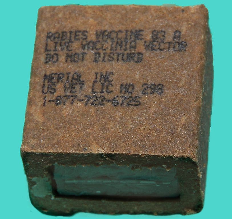 Nassau Plans ‘Raccoon Baiting’ in Area to Prevent Rabies Outbreak