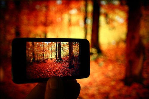 News small post card thumbnail