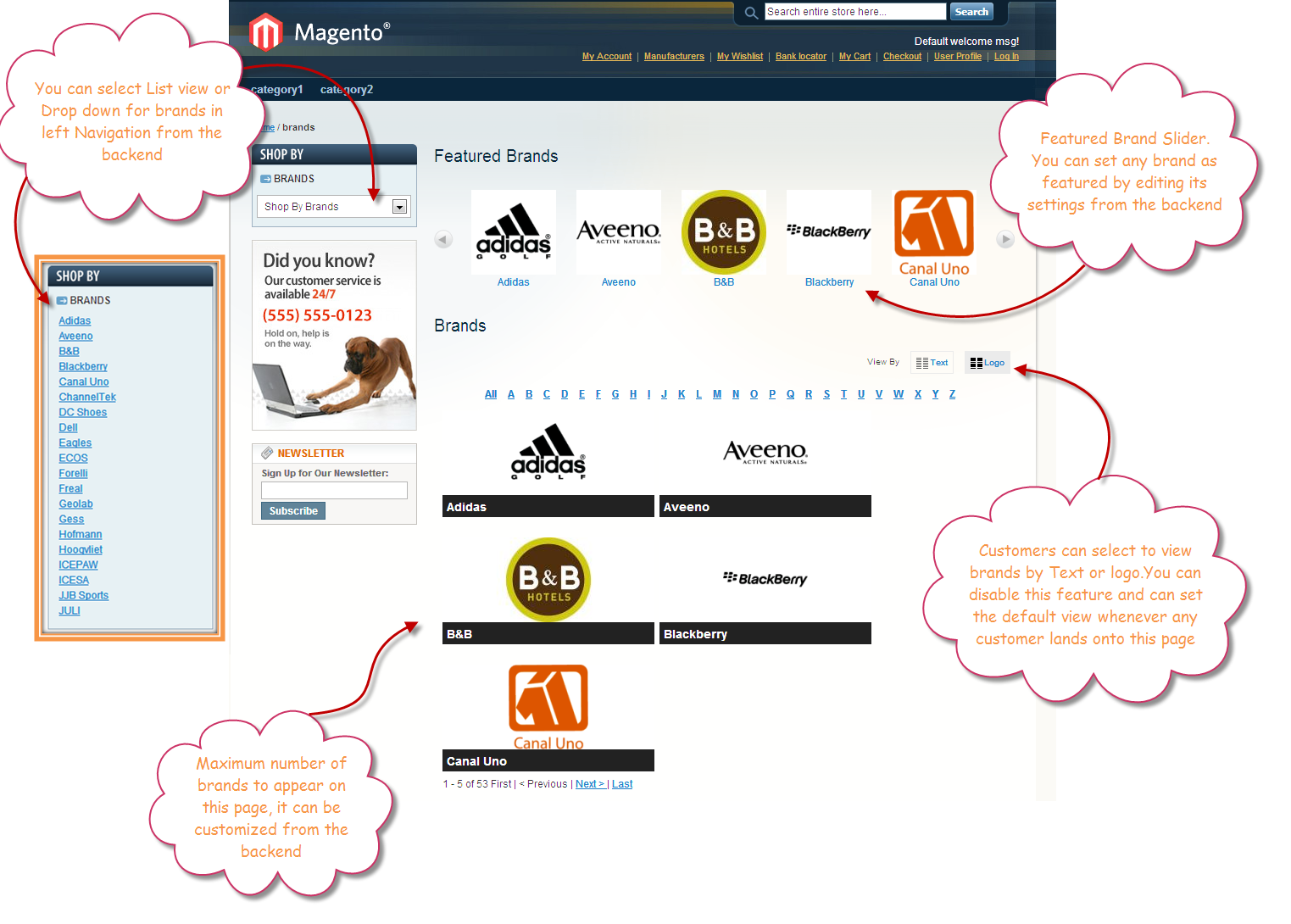How to Build an Online Brand | Hollywood, CA Patch