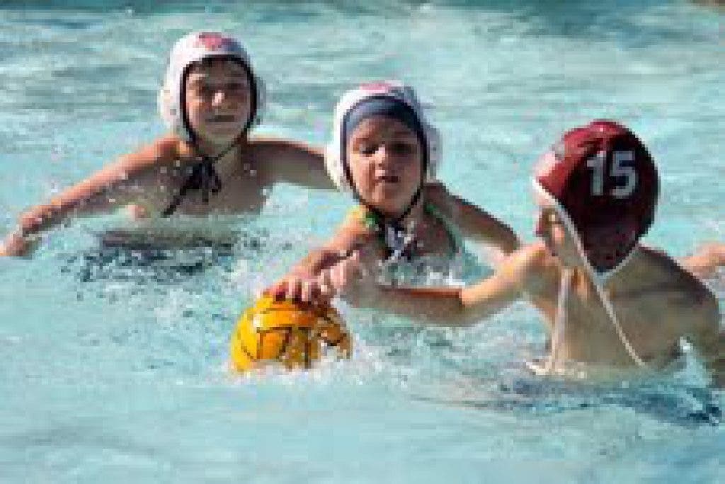 Los Angeles Water Polo Club Agoura Hills, CA Patch