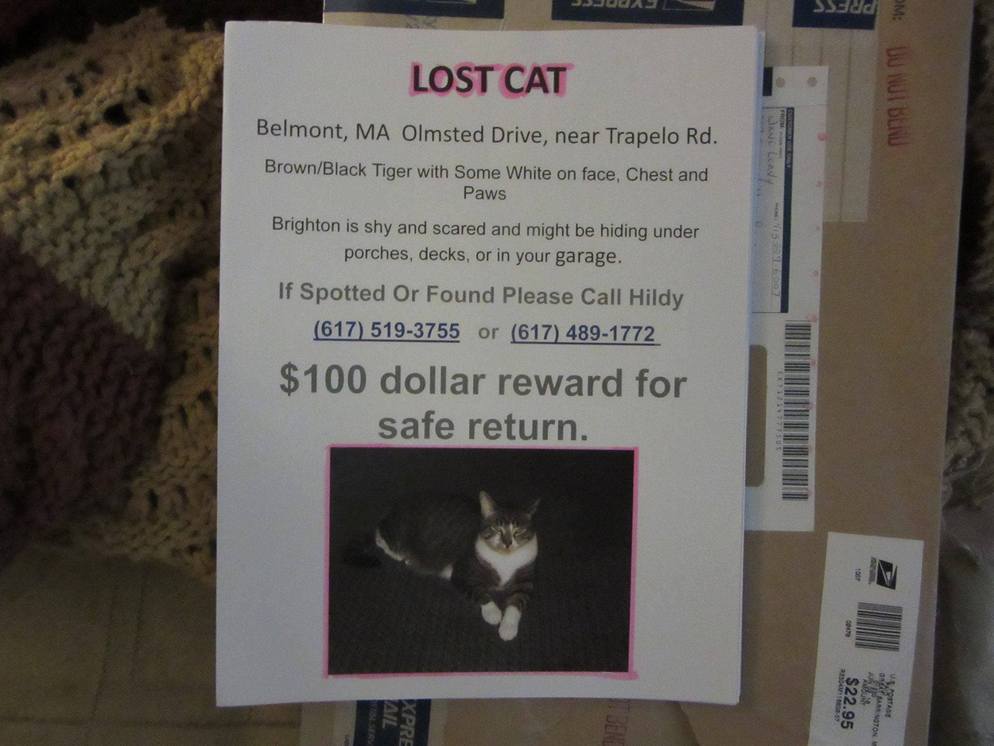 News small post card thumbnail