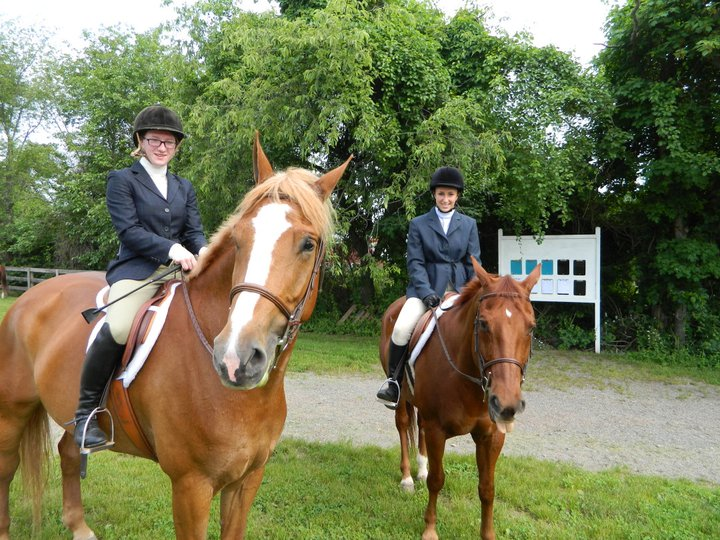 Horseback Riding Lessons & More! Come ride in out indoor riding ring ...