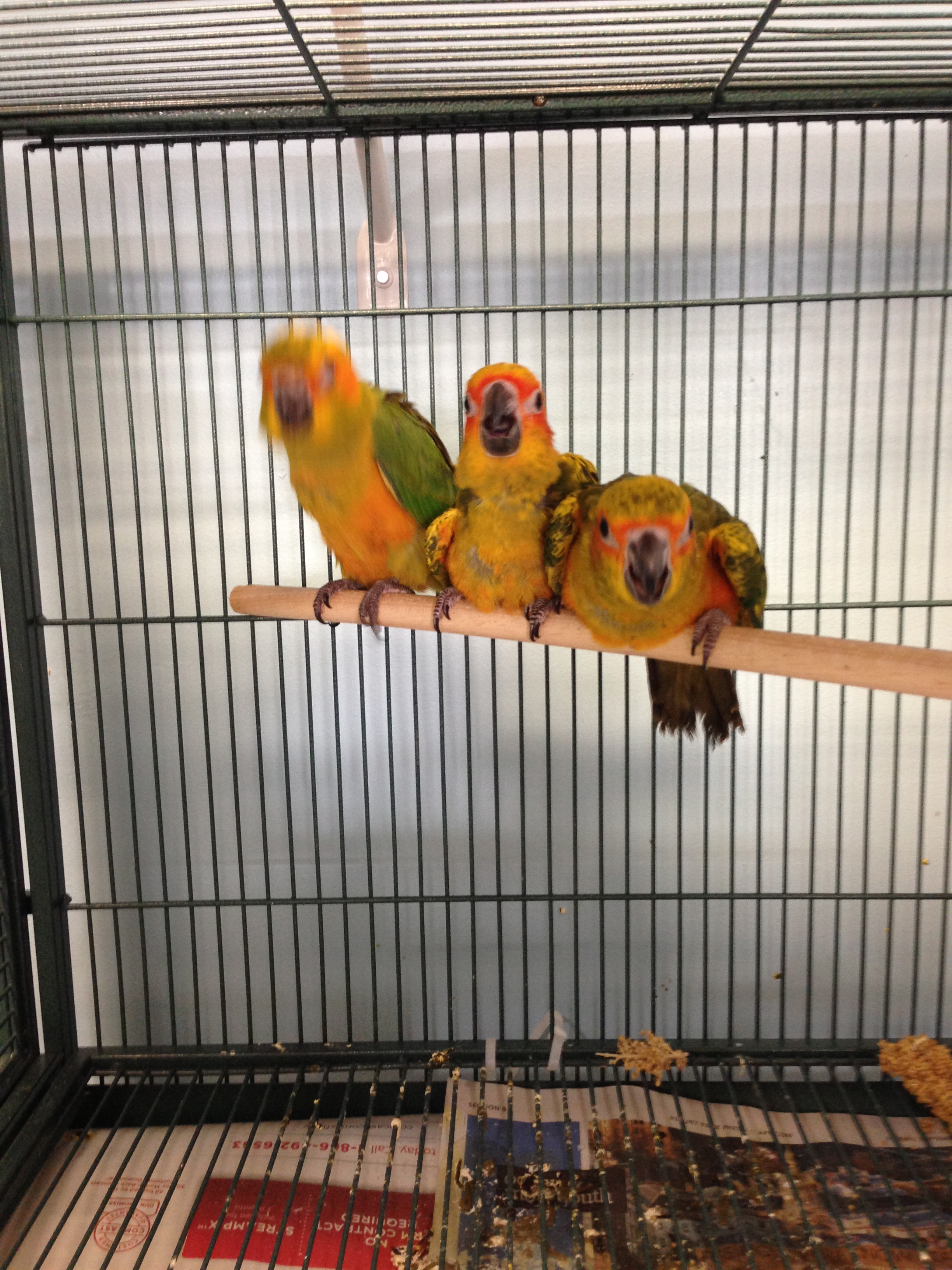 News small post card thumbnail