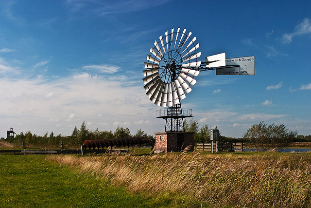 The Carbon Neutral Movement Pelham Ny Patch