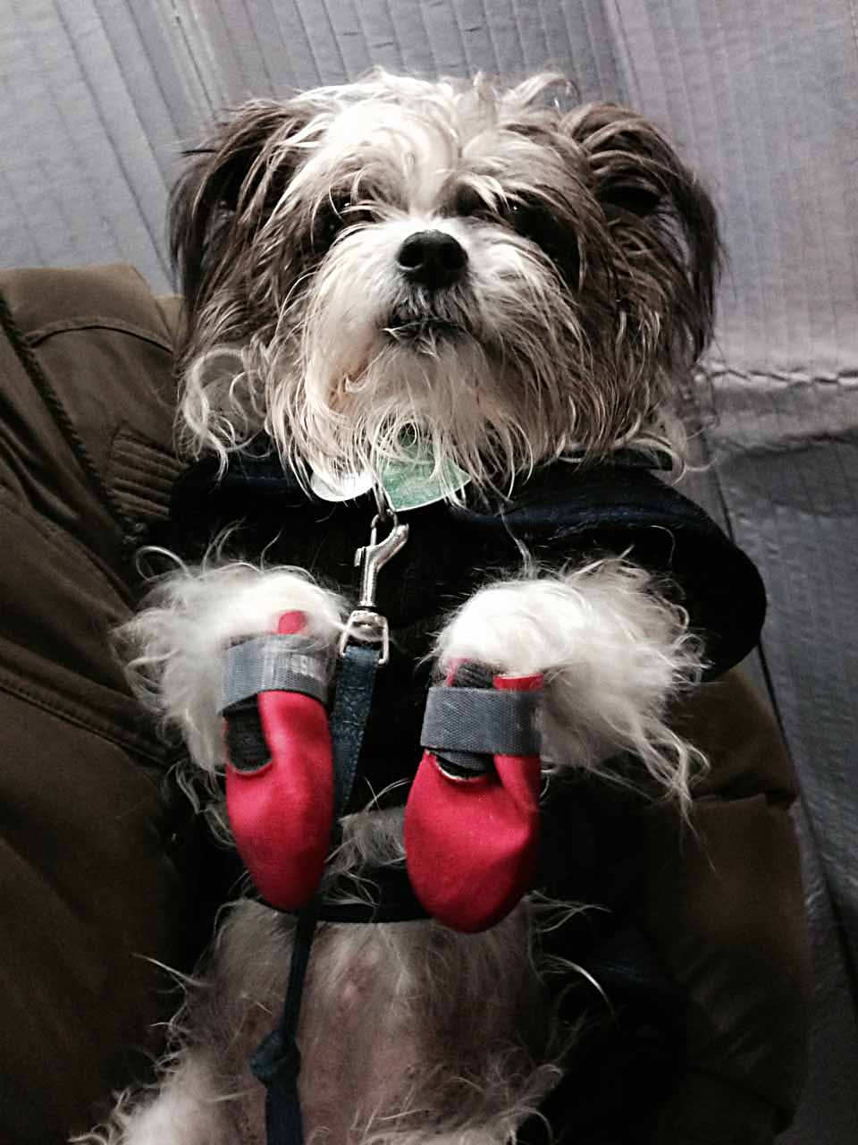 News small post card thumbnail