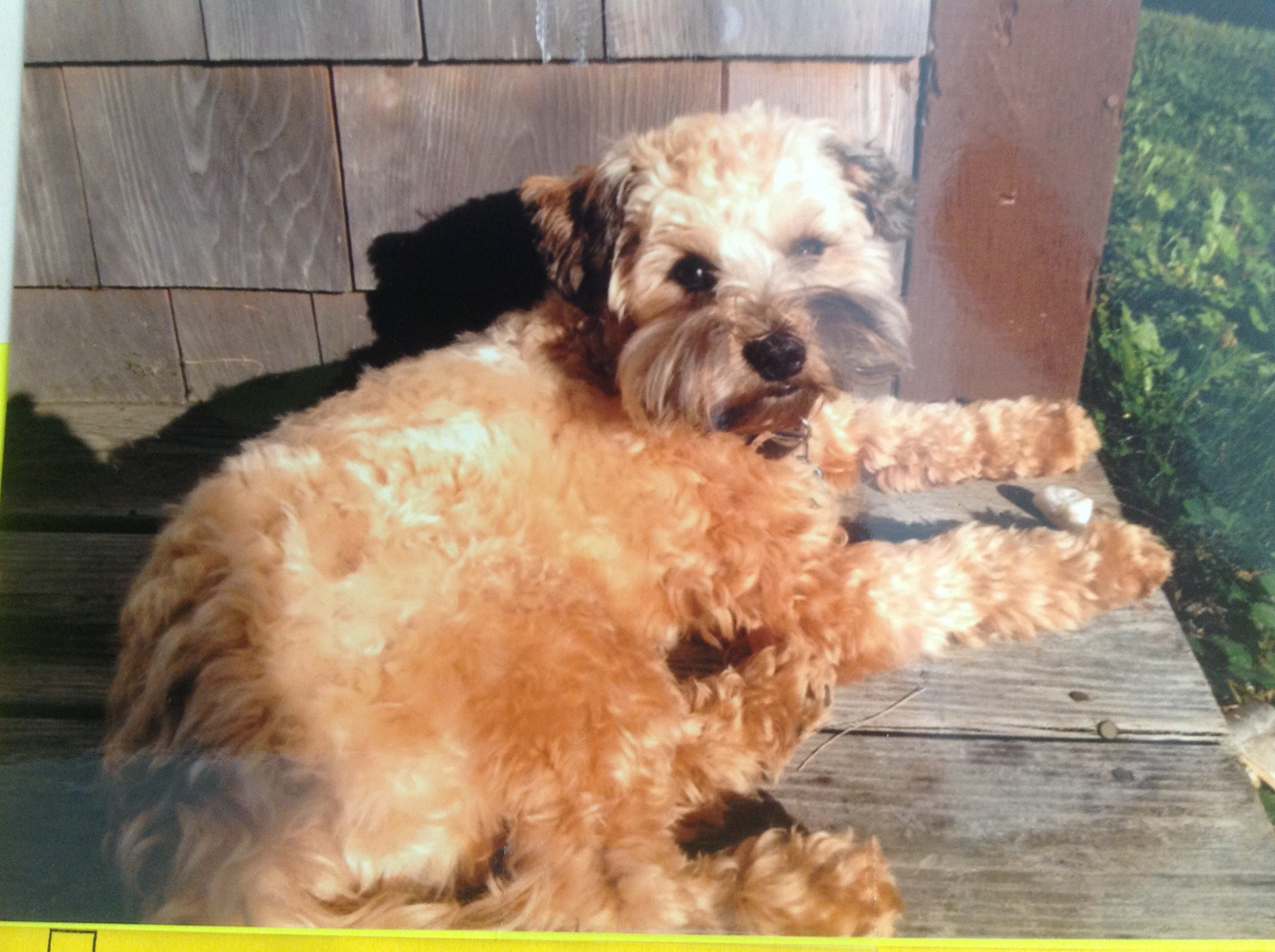 News small post card thumbnail