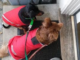 News small post card thumbnail