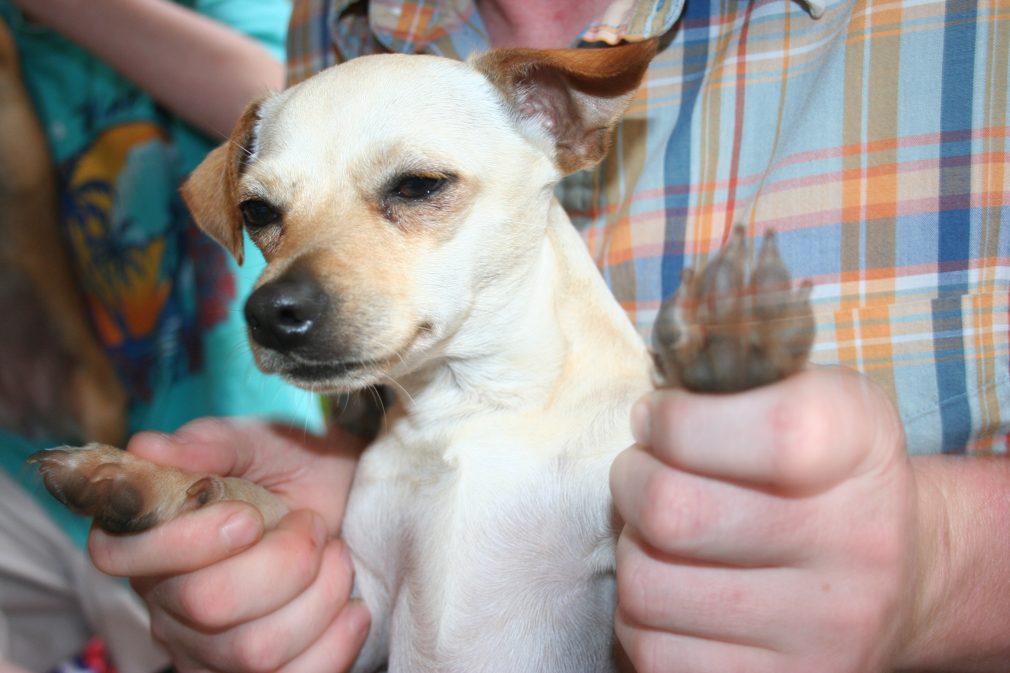 News small post card thumbnail