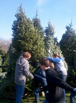 News small post card thumbnail