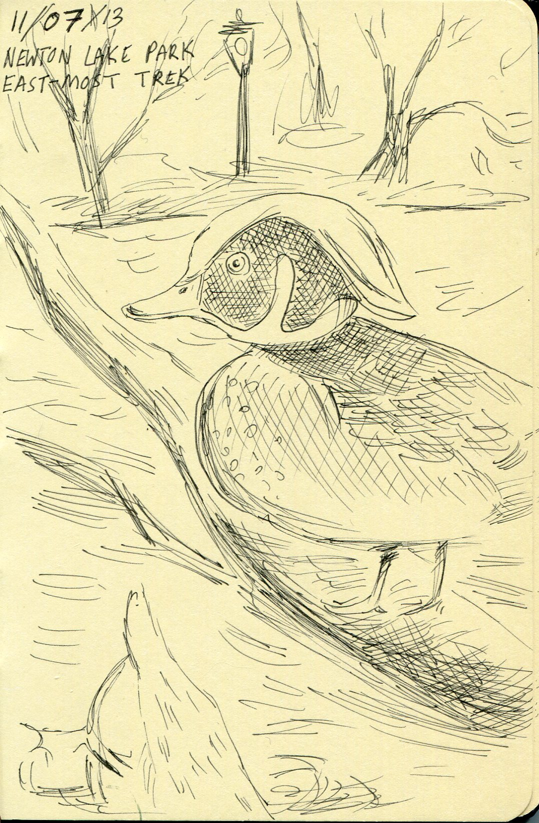 News small post card thumbnail