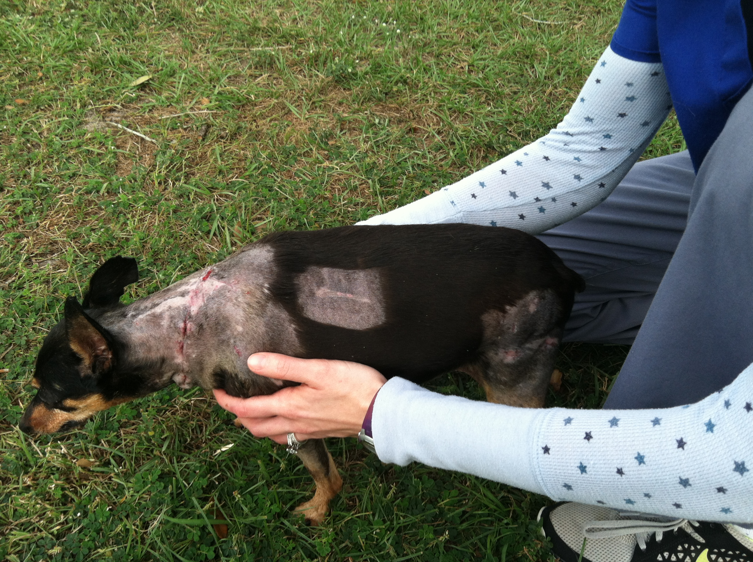 News small post card thumbnail