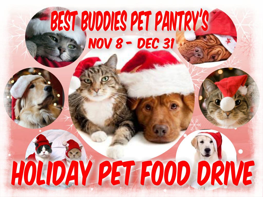 county line animal hospital hours