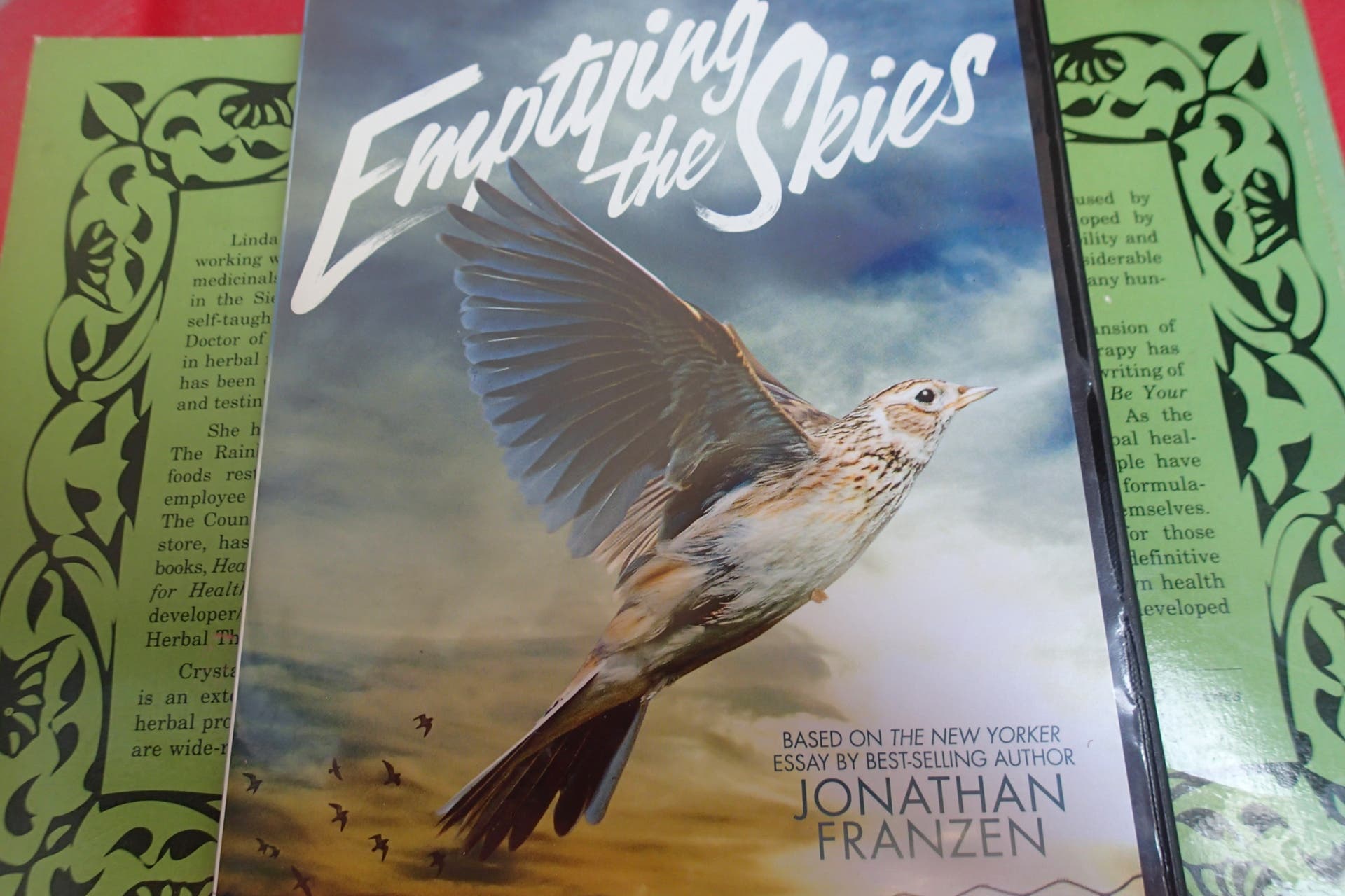 News small post card thumbnail