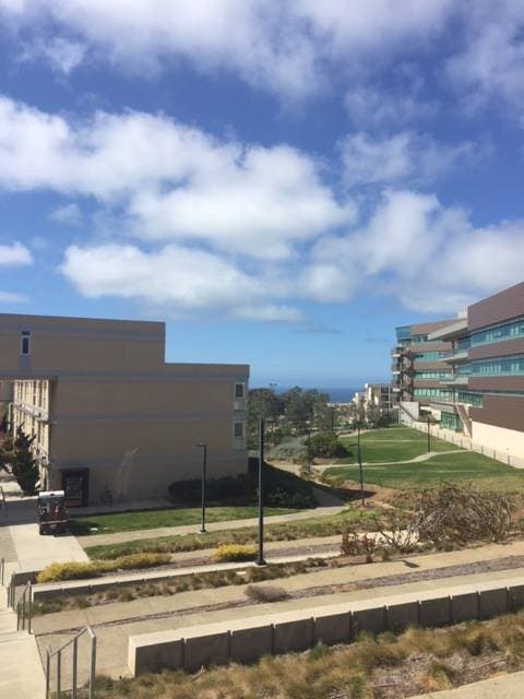 UCSD Ranks No. 5 On Forbes 'Best Value' College List | Imperial Beach