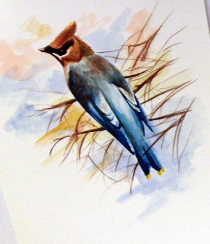 News small post card thumbnail