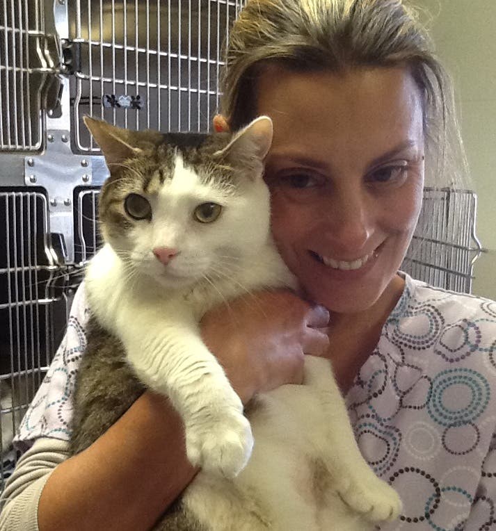 Pet Adoption Hit Record Highs At Somerset Regional Animal Shelter