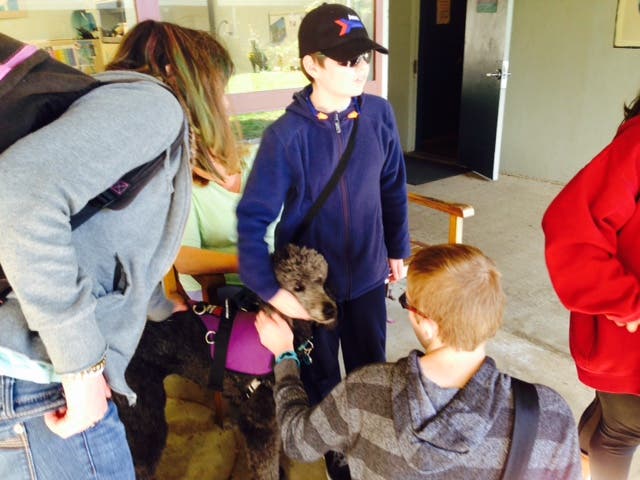 News small post card thumbnail