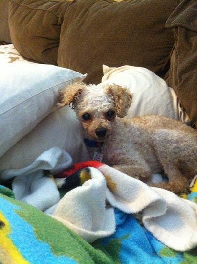 News small post card thumbnail