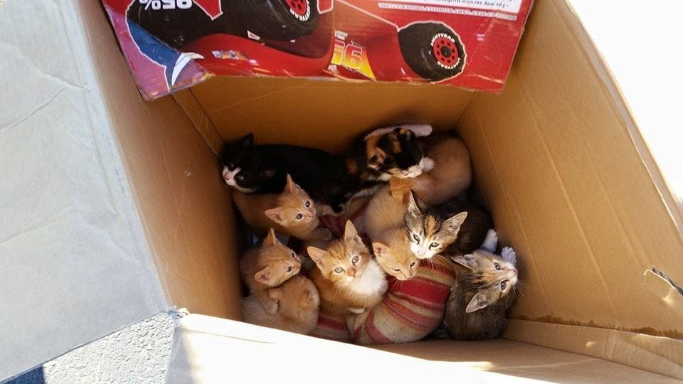 News small post card thumbnail